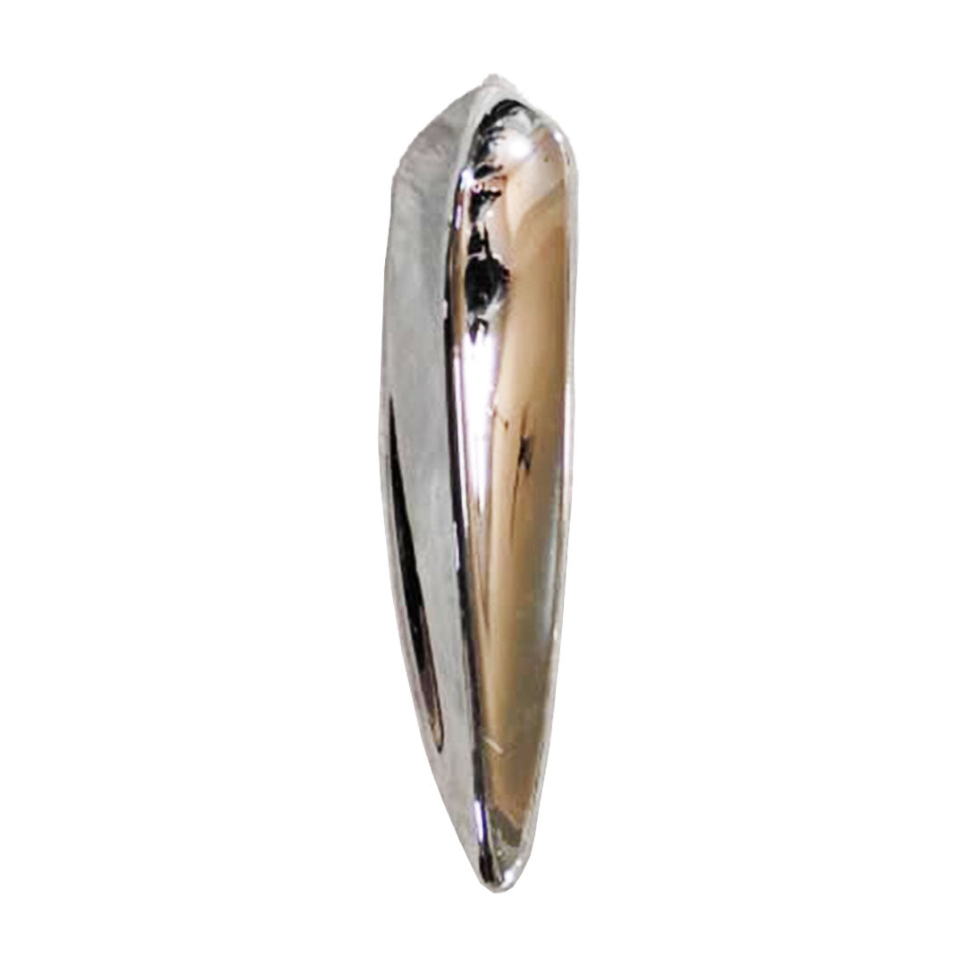 MUDGUARD CHROME RISE